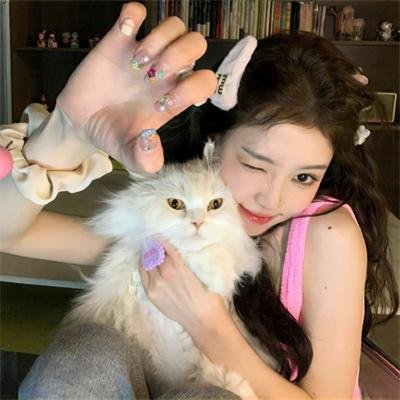 藏獒多吉 海报